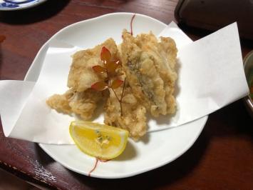 20201202-192914.jpg 20201202-192914.jpg